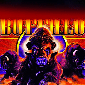 Buffalo